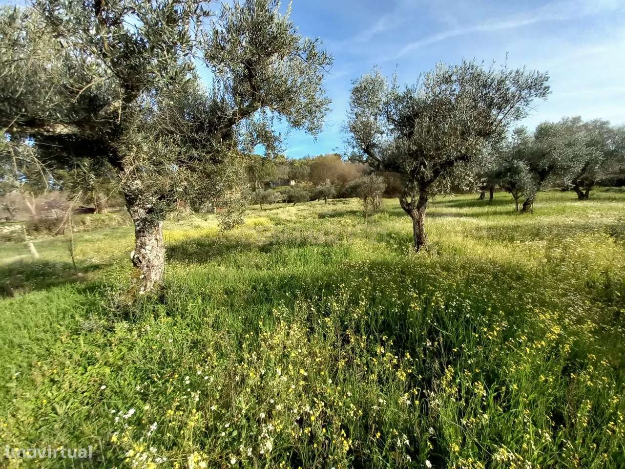 Terreno Rústico Póvoa de Rio de Moinhos, Castelo Branco - Grande imagem: 2/11