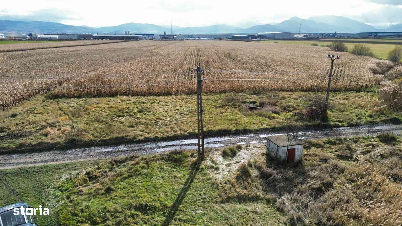 Teren 5 hectare de vanzare prejmer Brasov-6