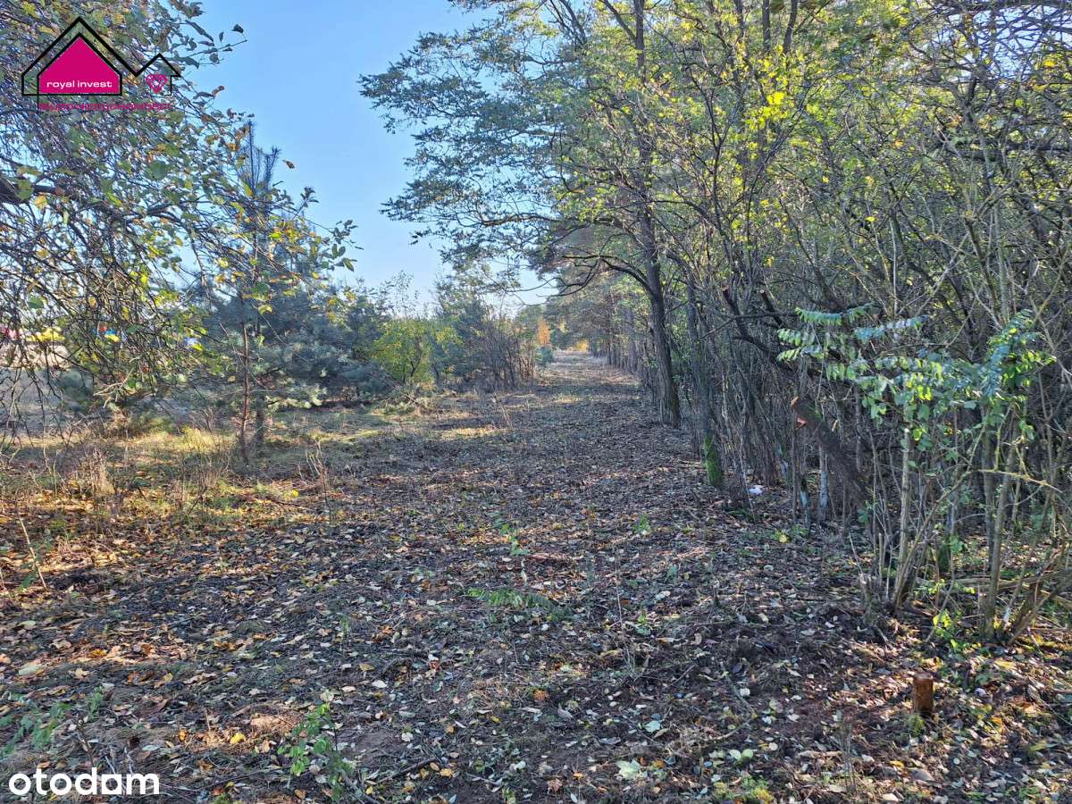 Unikatowa działka dla konesera ciszy i przestrzeni-15