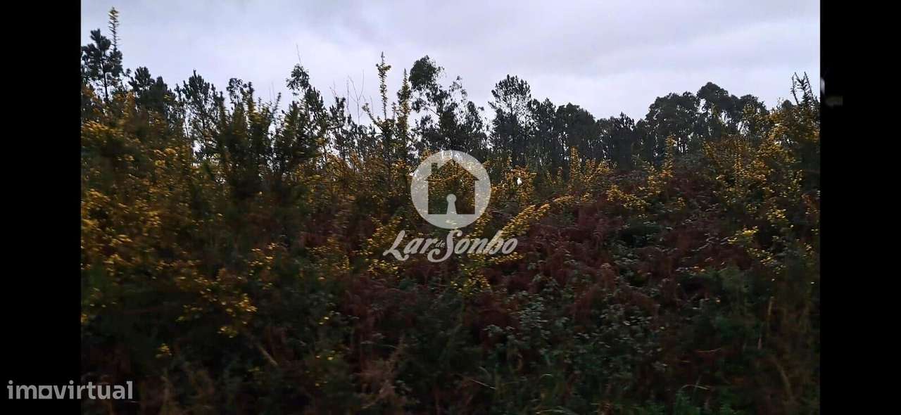 Terreno para construção em Cervães - Grande imagem: 2/28