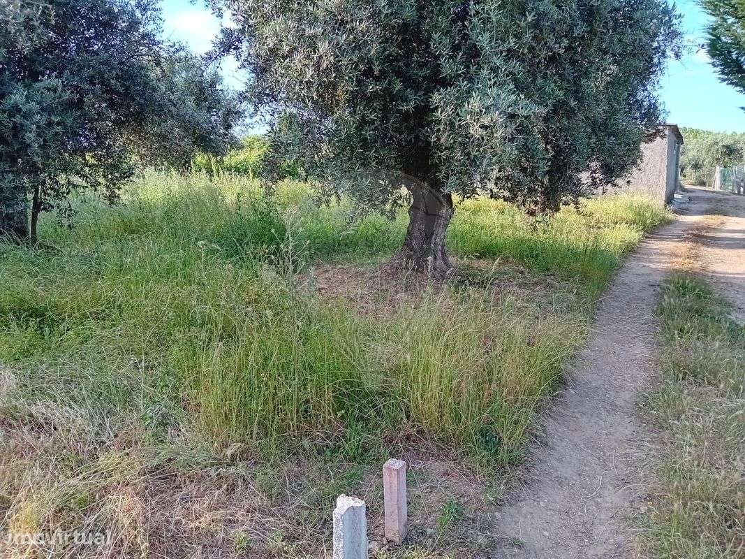 Terreno  para venda - Grande imagem: 4/6