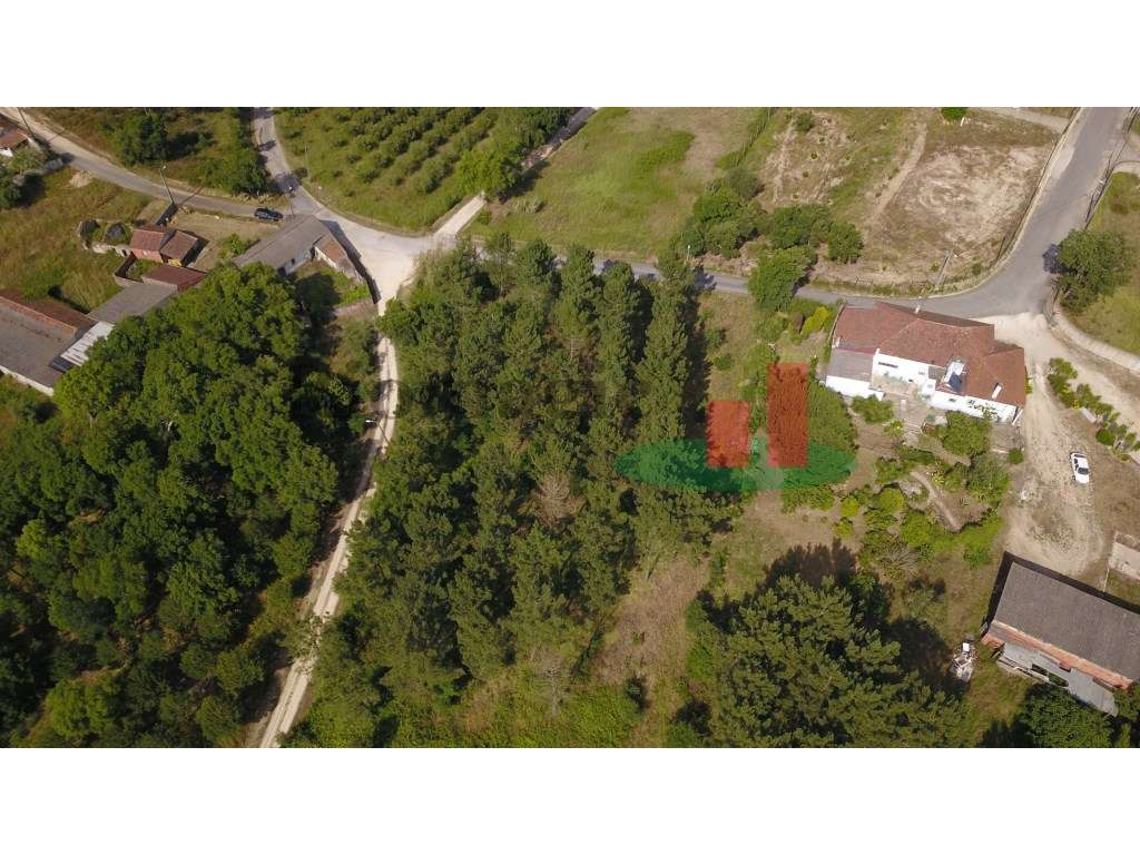 Terreno com Construção de Apoio Agrícola***RIOMAGIC*** - Grande imagem: 5/13