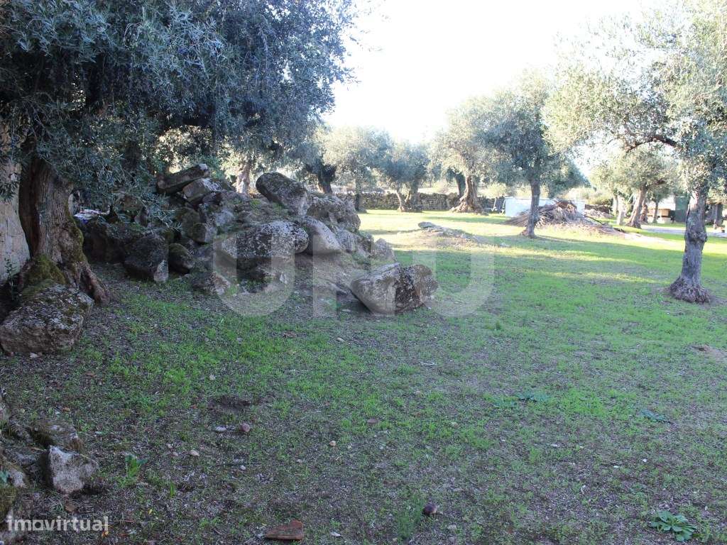 Terreno Urbano com 850m2 de área-9