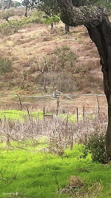 Quinta  para venda - Grande imagem: 2/8