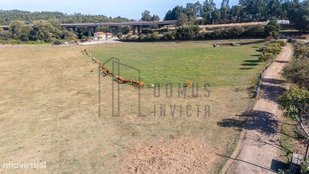 Quinta em Pedroso, Vila Nova de Gaia, com 40 mil metros quadrados.-52