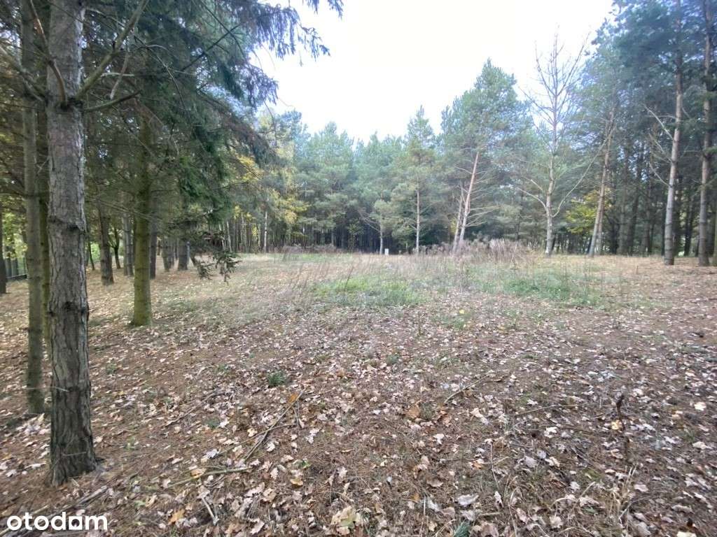 Malownicza działka nad jeziorem z warunkami - Pełny obrazek: 5/9