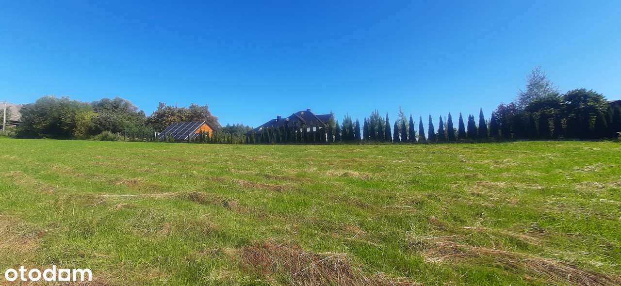 Okazja cenowa, 7000 m², budowlana, las, strumyk, cisza - Pełny obrazek: 4/5