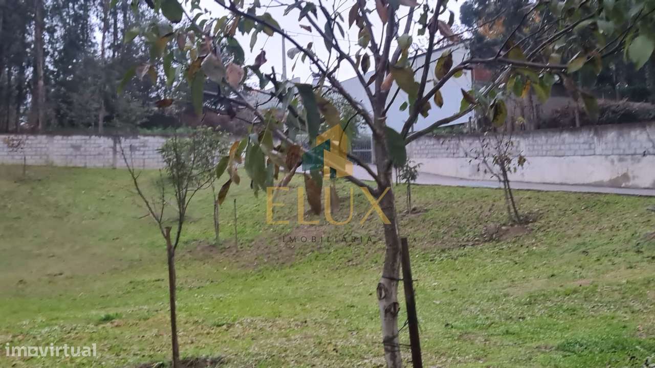 Moradia para Restaurar T4 Venda em Margaride (Santa Eulália), Várzea,-6