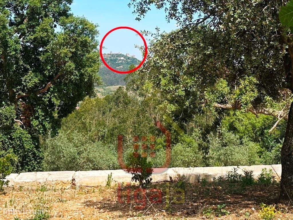 Armazém Industrial/Agropecuário com 9.700 m² de Terreno | Entre Our...-4