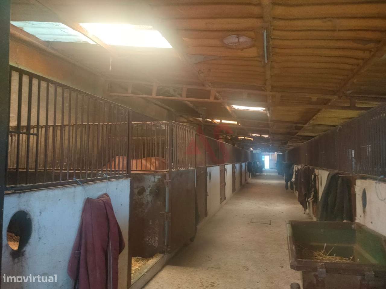 Quinta com Centro Equestre com 9.106 m2 em Fermentões, Guimarães - Grande imagem: 5/6