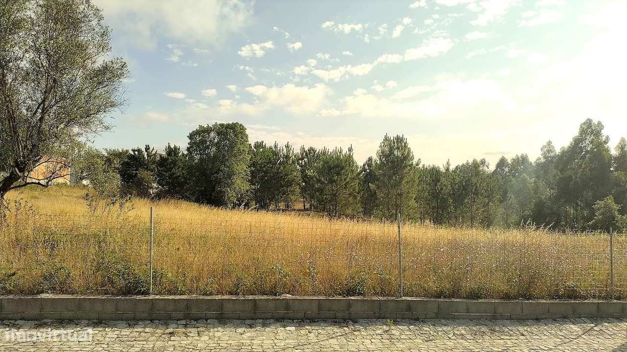 Terreno plano para construção / 9000 m2 / Boa Vista / Leiria - Grande imagem: 4/6