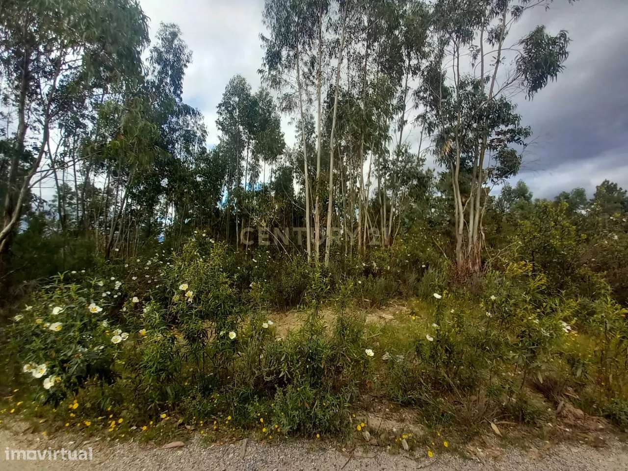 Terreno Panorâmico em Sarnadas de Ródão, Castelo Branco-5