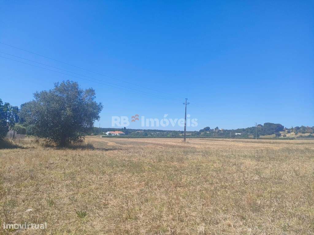 3 Terrenos Rústicos com área total de 18.880m2 - Cabeças, Tomar - Grande imagem: 3/17