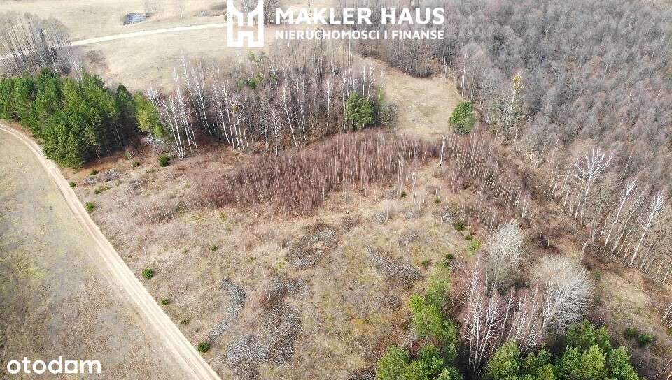 Działka nad jeziorem Zelwa - Pełny obrazek: 4/12