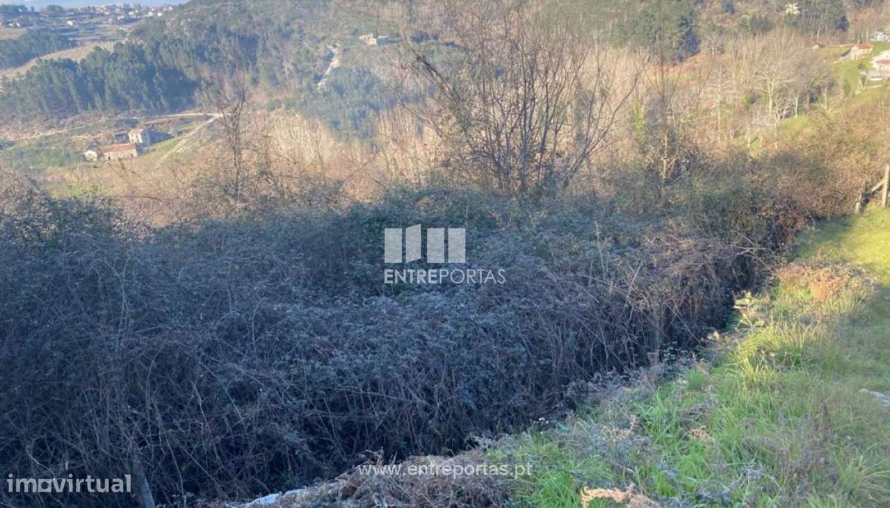 Venda Terreno, Soalhães, Marco de Canaveses - Grande imagem: 4/20
