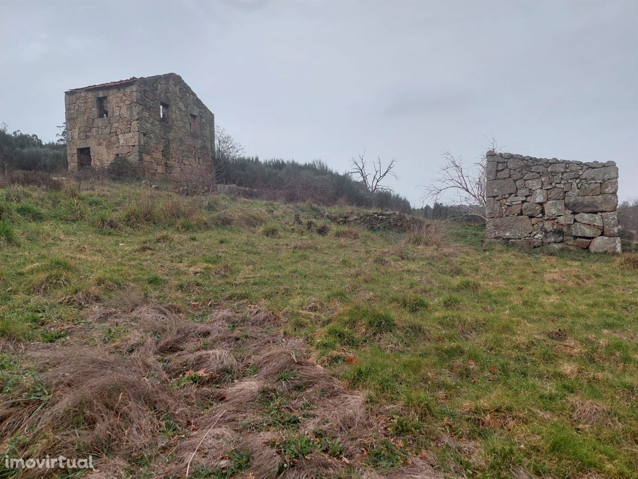 Quinta  Venda em Rio Torto e Lagarinhos,Gouveia