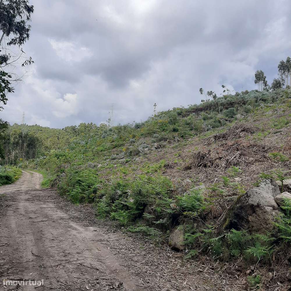 Terreno Rans Penafiel - visão e valorização a médio e longo prazo-6