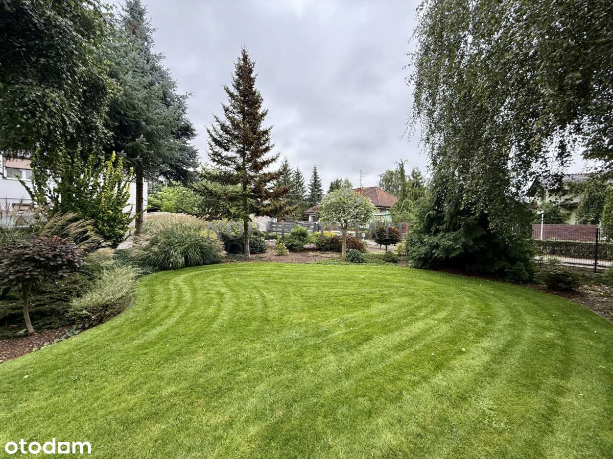 Cudowny ogród pod ścianą lasu-16