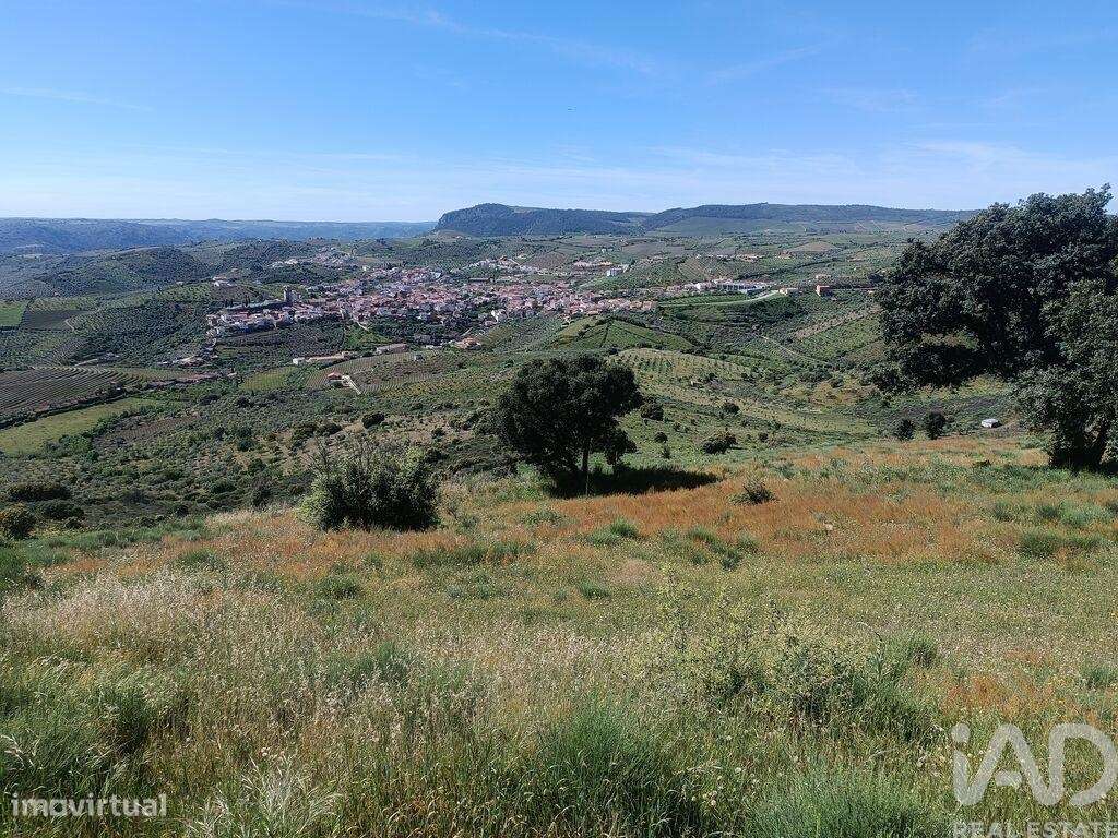 Terreno em Freixo de Espada à Cinta e Mazouco de 49572,00 m2 - Grande imagem: 3/27