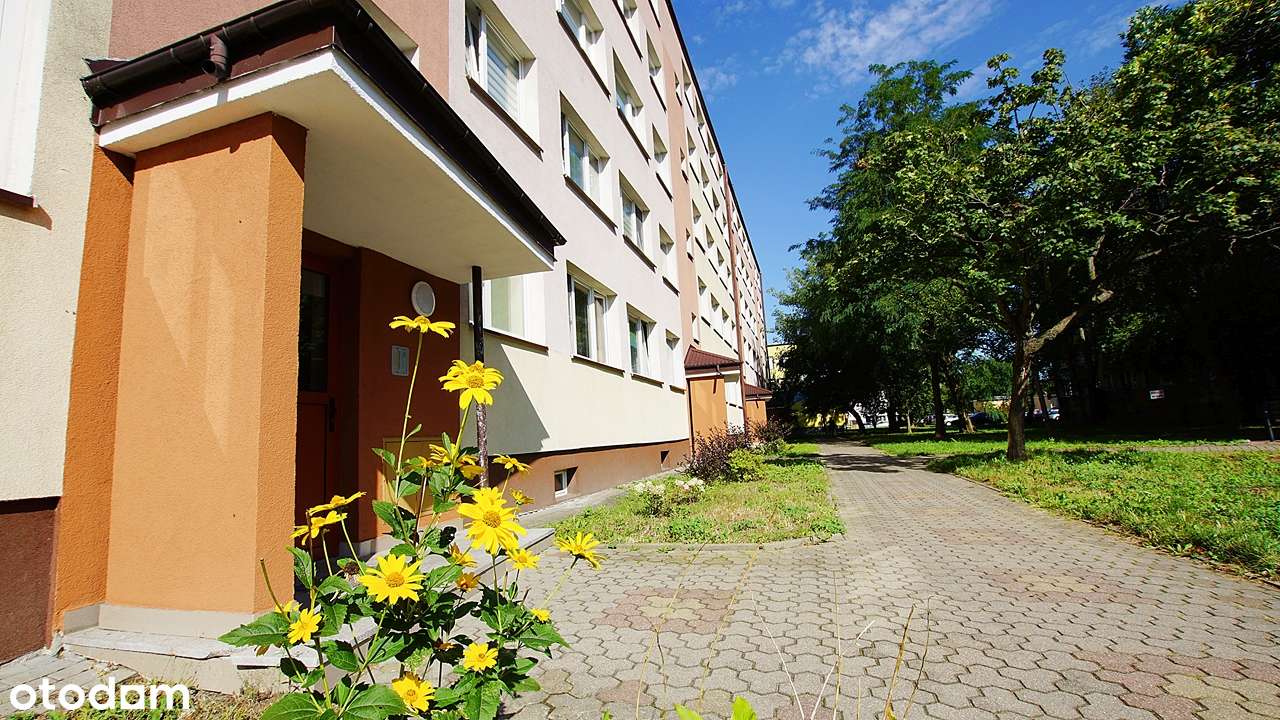 spółdzielcze własnościowe prawo do lokalu 39 m2-3