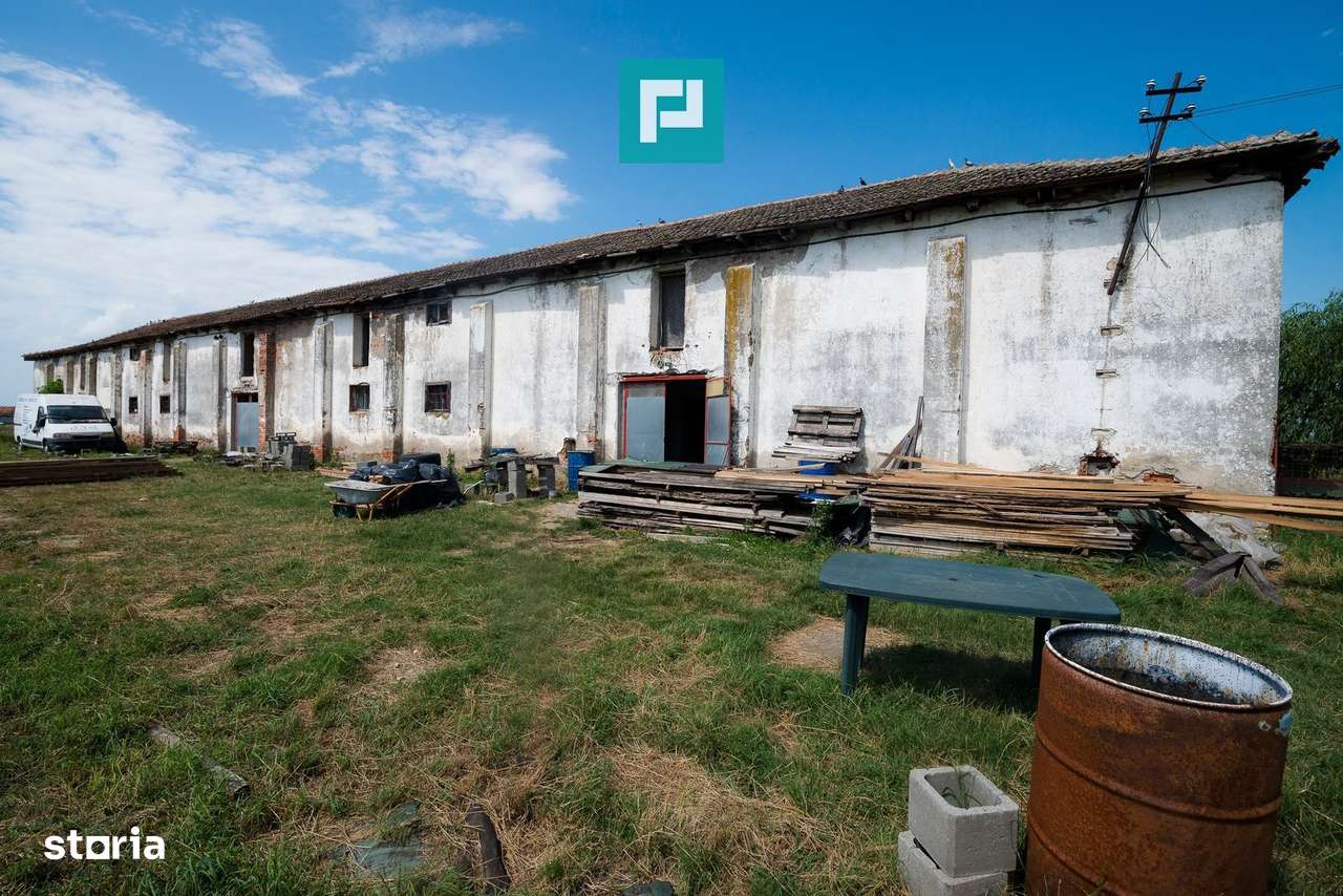 Hală industrială cu teren generos în Zărand, Arad - Imagine principală: 5/20