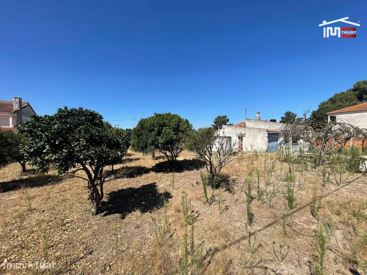 Oportunidade! Terreno Rústico 1.300m² com Casa e Duas Frentes e Fur... - Grande imagem: 2/4