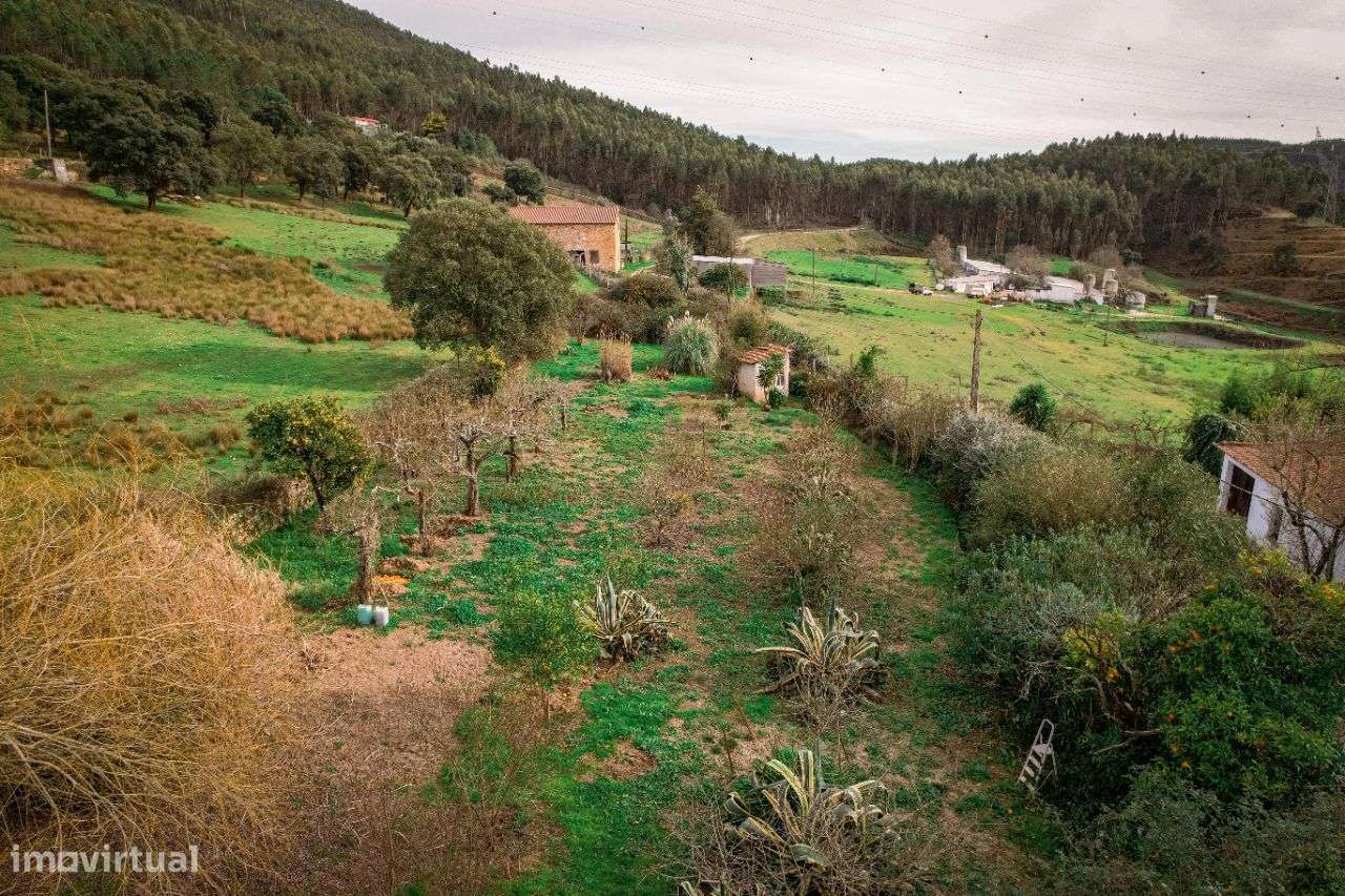 Casa senhorial, totalmente recuperada, em Cernache do Bonjardim-54