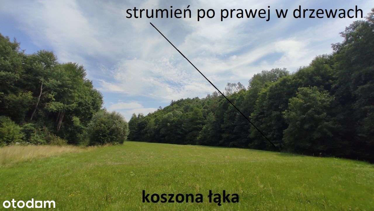 WIDOKOWA działka na WZGÓRZU z panoramą na Góry Św.-12