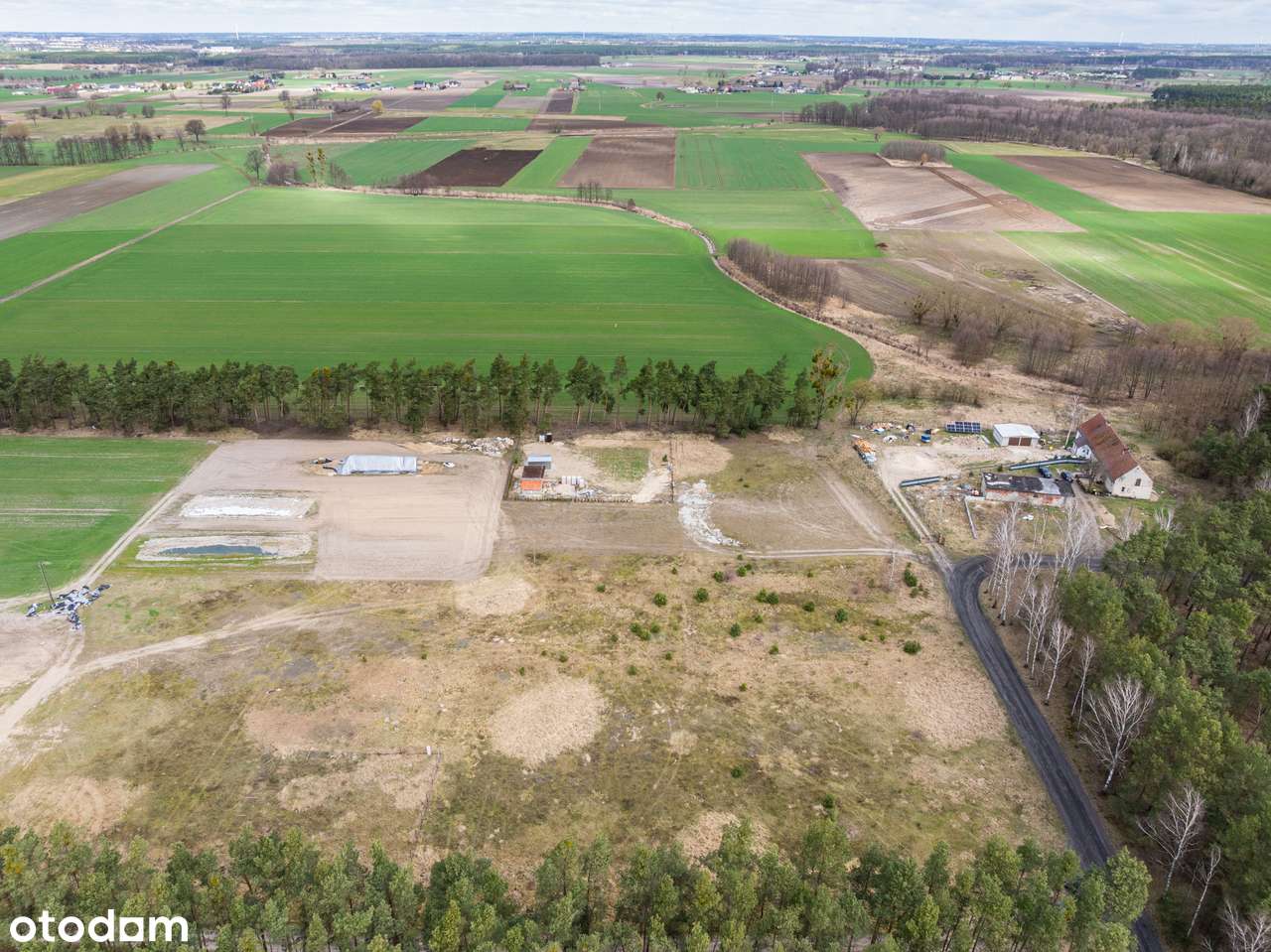 Las za oknem, śpiew ptaków w gratisie, oaza spokoju/Murzynowo Leśne-2