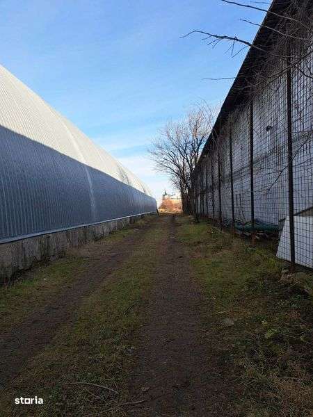 Cladire cu teren aferent, de inchiriat - Imagine principală: 4/4