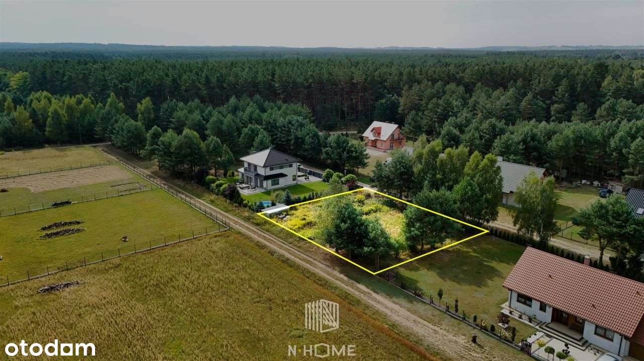 Pęciszów koło Trzebnicy/otoczenie lasów - Pełny obrazek: 1/6