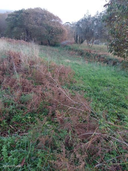 Terreno agrícola