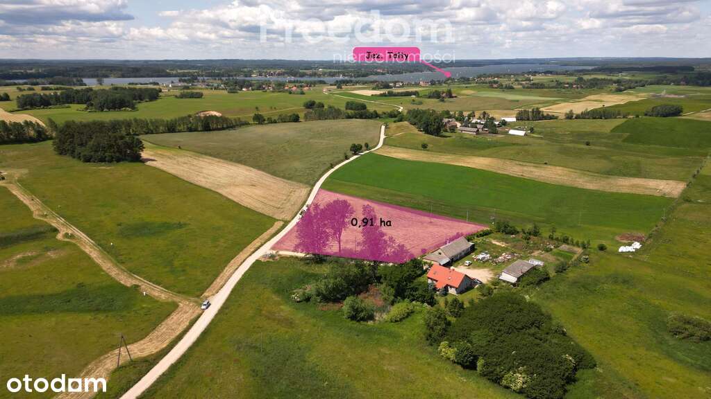 Działka Mazury Tałty / Mikołajki - Pełny obrazek: 4/8