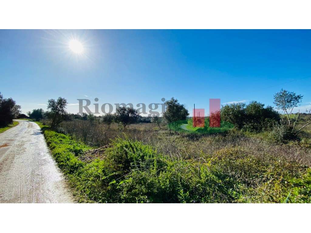 Terreno Marmeleira***RIOMAGIC*** - Grande imagem: 4/18