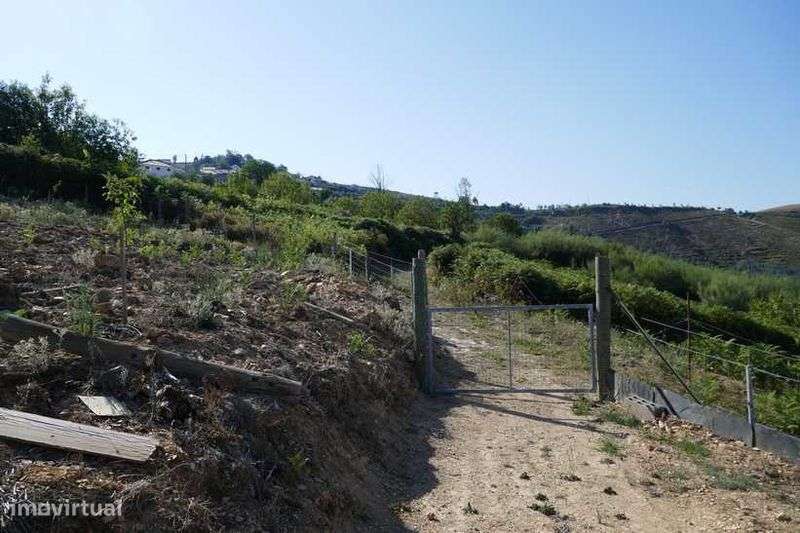 Terreno de 2600 m2 com vista de encantar - Grande imagem: 5/12