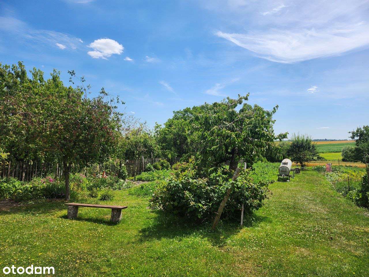 Siedlisko z potencjałem – dom 220 m², budynki gospodarcze, NIŻSZA CENA - Pełny obrazek: 5/20