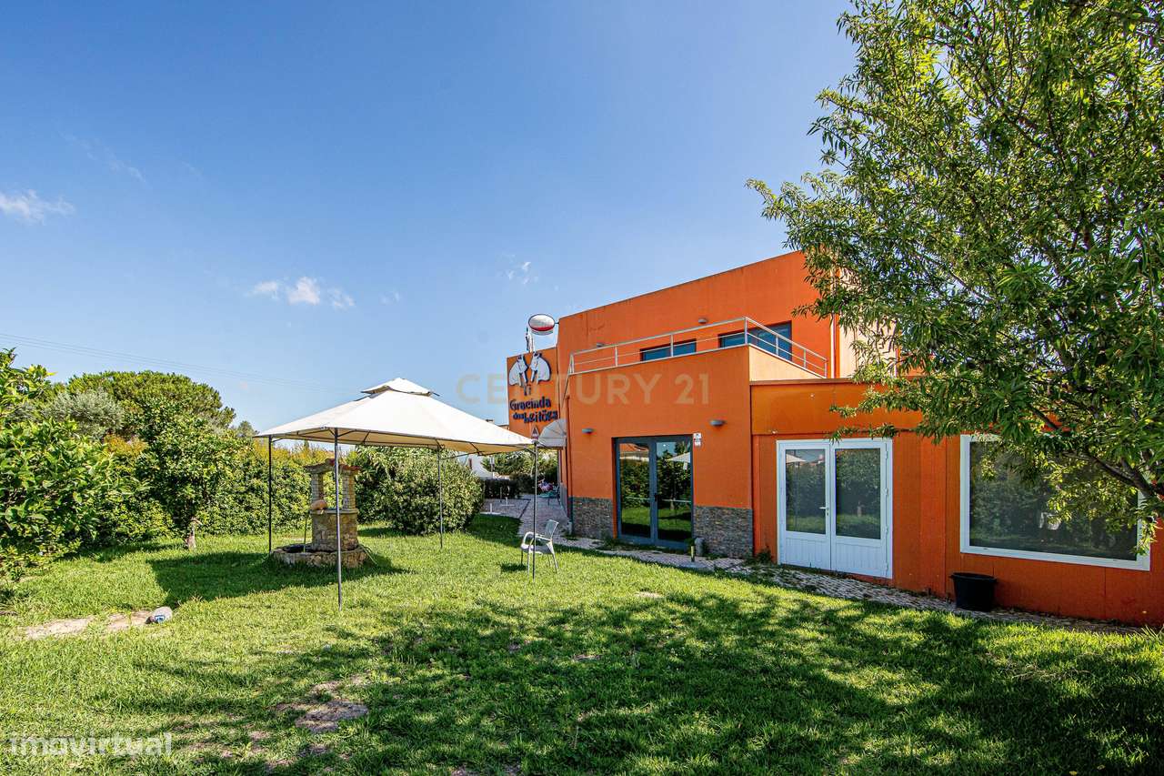 Restaurante nas Galeotas - Azeitão - Grande imagem: 3/22