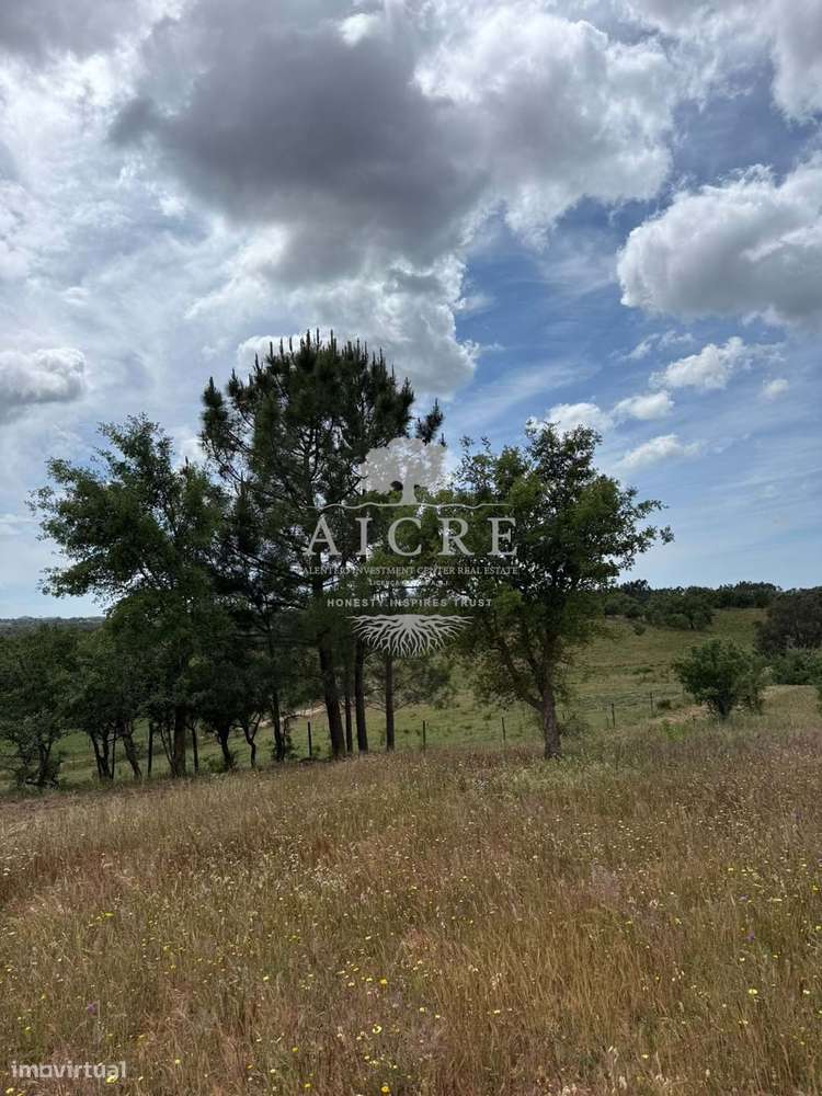 Monte Alentejano com Projeto de Turismo Rural Aprovado – Santiago do C-7