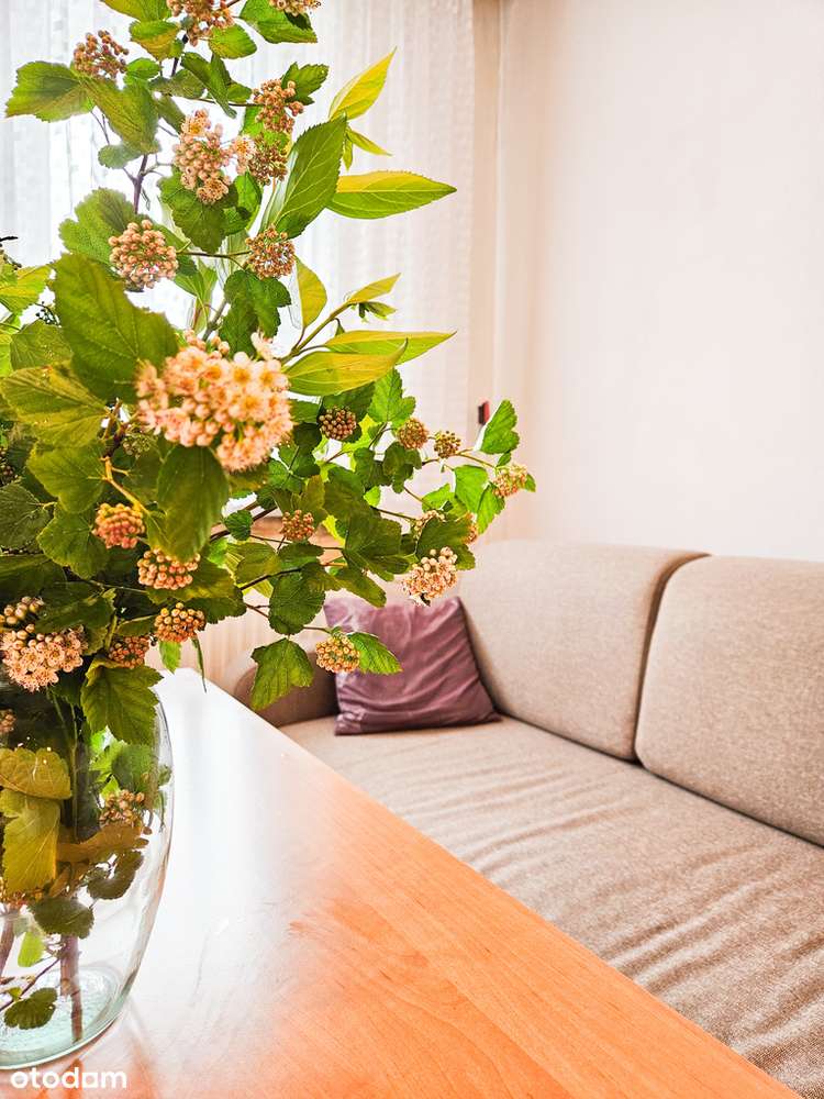 3 duze pokoje z balkonem, park Cegielnia!-3