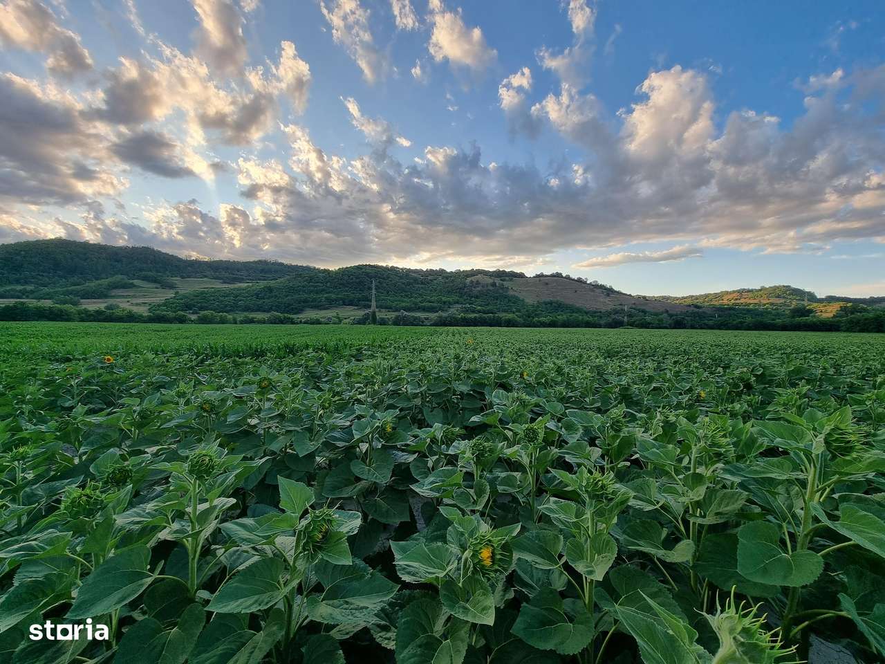 Teren pentru agricultură-0