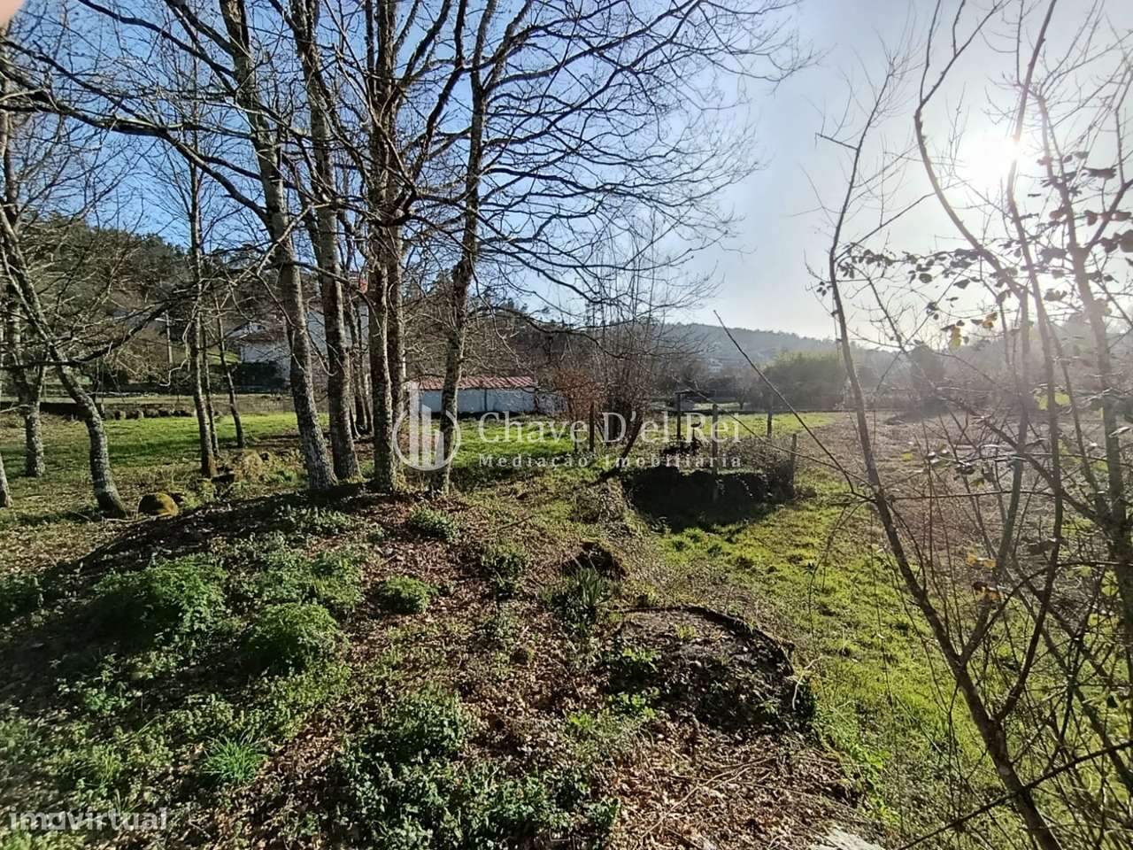 Terreno  Venda em Couto de Baixo e Couto de Cima,Viseu-1