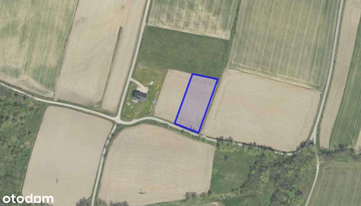 Stara Łomnica  - działka budowlana. - Pełny obrazek: 5/5