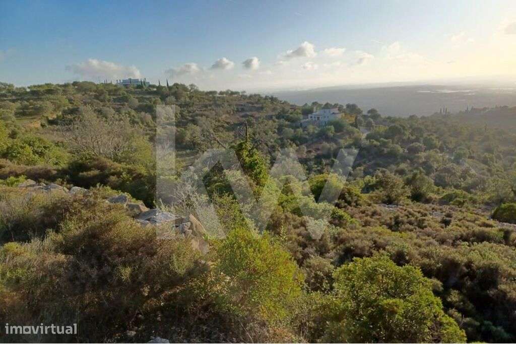 TERRENO PARA CULTURA - EM ESTOI -  COM DESLUMBRANTE VISTA PARA O MAR - Grande imagem: 3/6