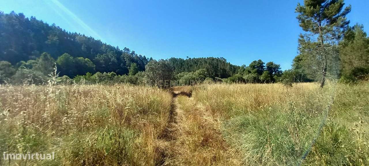 Terreno Rustico Sobrainho da Ribeira - Grande imagem: 5/14
