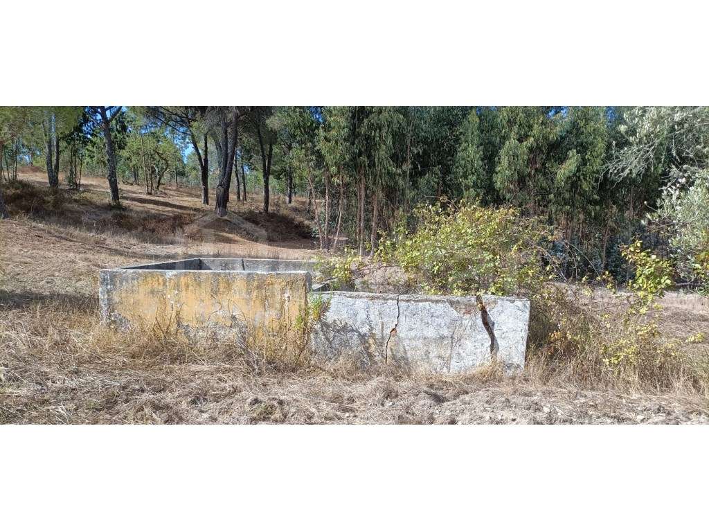 Monte com Moradia para Restauro - Grande imagem: 5/12