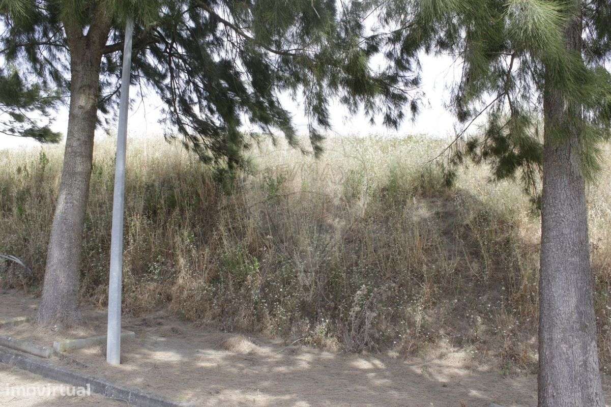 Terreno  para venda - Grande imagem: 3/5