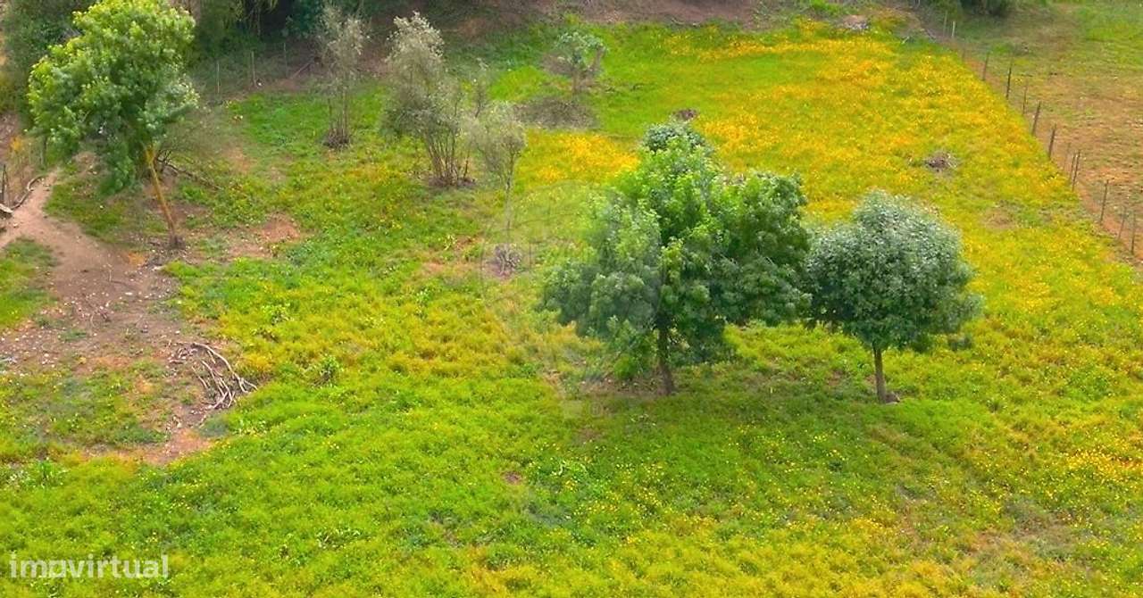 Terreno  para venda - Grande imagem: 5/5