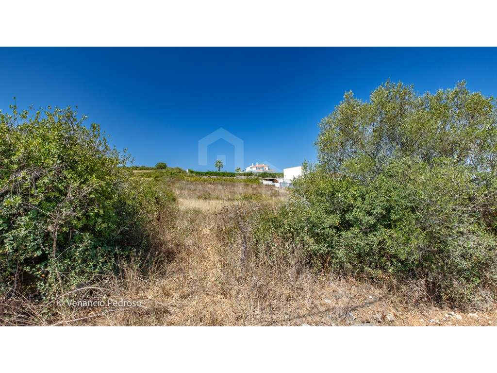 Vende Terreno - Ericeira 13 km, A Casa das Casas - Grande imagem: 4/7