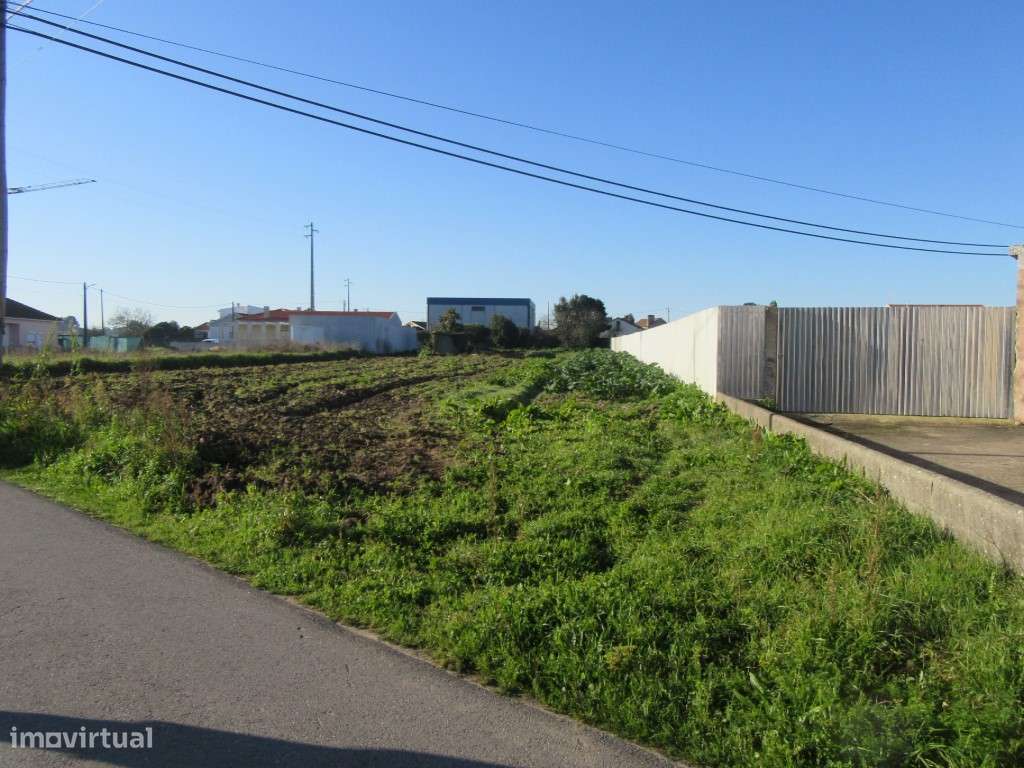 Terreno para construção na zona de Monte Real - Carvide - Grande imagem: 3/3