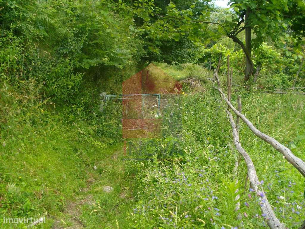Terreno agrícola, Aboim da Nóbrega - Grande imagem: 5/12